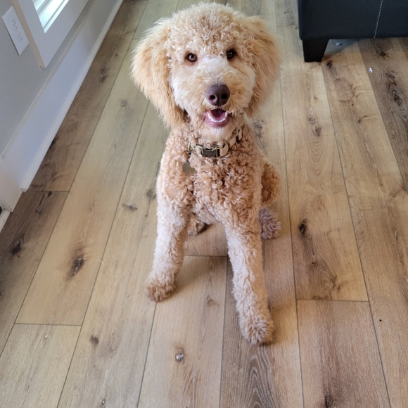 Funtimes - Picture 5 of 16